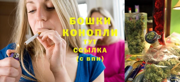 стаф Няндома