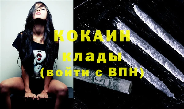 прущие грибы Абинск