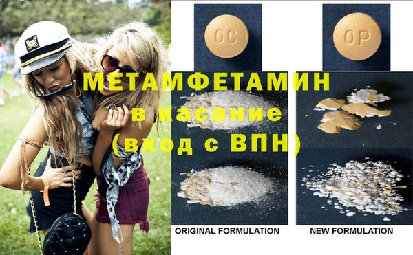прущие грибы Абинск